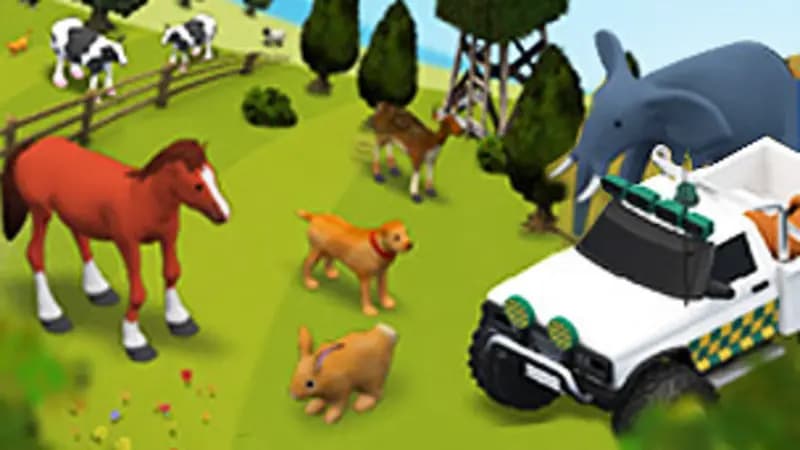 Junior Vets On Call Game