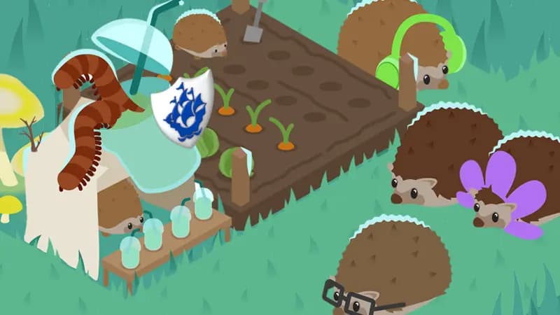 Hedgehog wonderland.