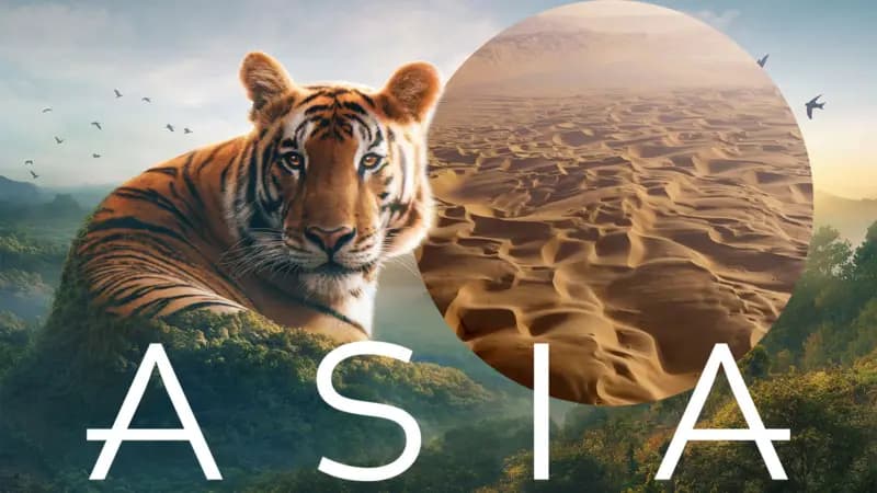 Asia: The Arid Heart. Quiz