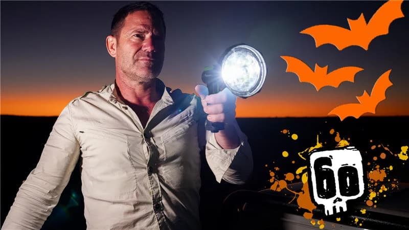 Deadly 60: Spooktacular Bat Quiz  Quiz