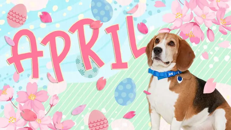 Do you know April? Quiz