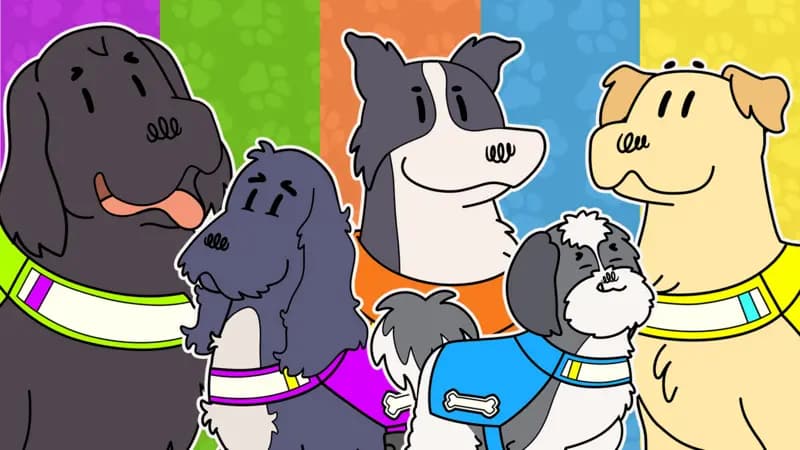 Dog Squad Mission Alert quiz. Activity