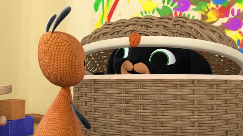 Hide and Seek. Activity