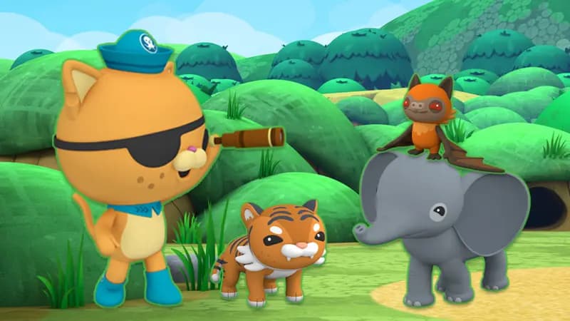 Octonauts: Mammals quiz. Activity
